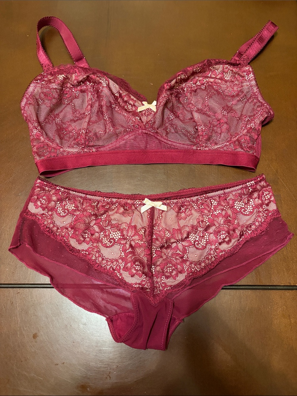 Sheer Lace Underwire Bra & Brief Set in Wine NWOT washed never worn.
